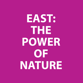 Vryheid - East - the power of nature