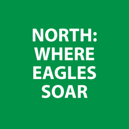 Vryheid - What you will find up North